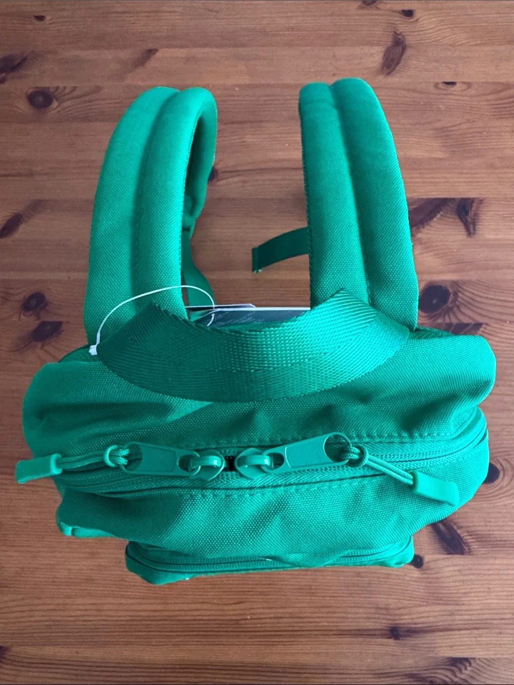 Disney Disneyland Resort Green Icon Mania Small Backpack